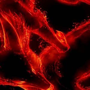 Meet your Posher, Allen